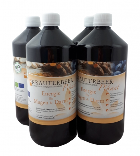Familien-Paket 4x 1l Kruterbeer Pikant