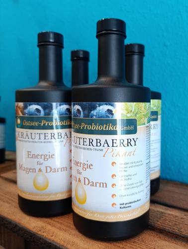 Bio-Fermentgetrnk KRUTERBAERRY Pikant - KURPAKET S: 4x0,5l Liter