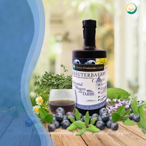 Bio-Fermentgetr�nk KR�UTERBAERRY Classic - Inhalt: 0,5 Liter