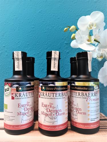 Bio-Fermentgetr�nk KR�UTERBAERRY Premium - Vorteilspaket: 5+1gratis � 0,2 Liter 