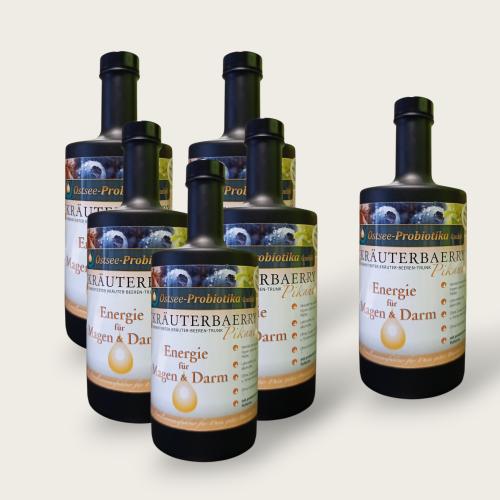 Bio-Fermentgetr�nk KR�UTERBAERRY Pikant - KURPAKET M: 5+1 Gratis (insg. 6x0,5l)