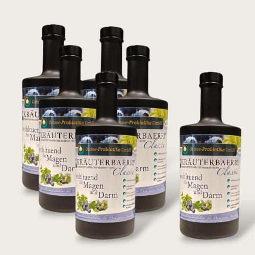 Bio-Fermentgetr�nk KR�UTERBAERRY Classic - Kurpaket M: 5+1 Gratis= 6x 500ml 