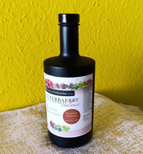 Bio-Fermentgetrnk KRUTERBAERRY Balance  (NEU ab 08.12.2025) - Inhalt: 500ml