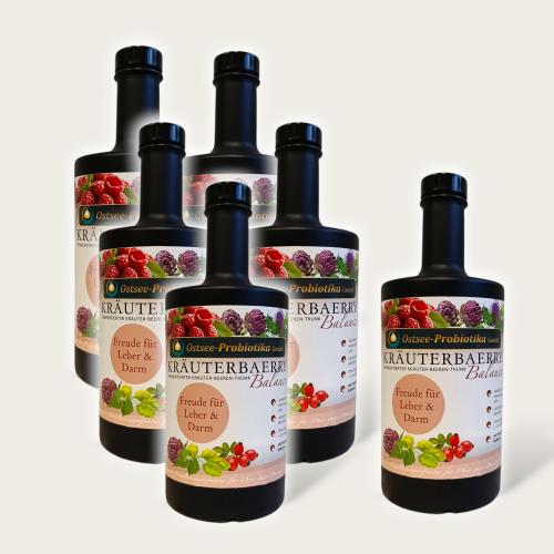 Bio-Fermentgetr�nk KR�UTERBAERRY Balance (NEU seit 08.12.2025) - KURPAKET M: 5+1 Gratis(insg 6x0,5l)