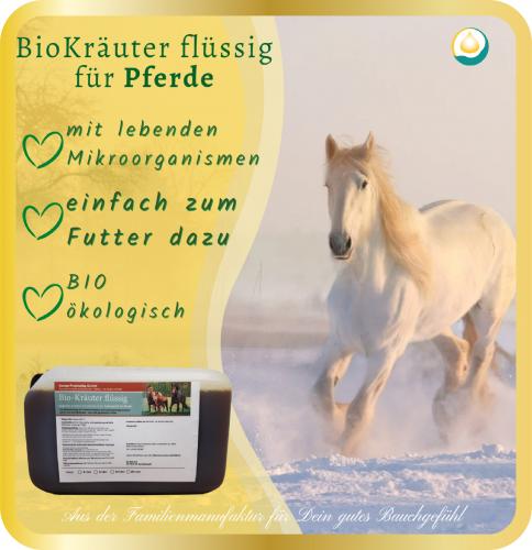 Bio Kräuter flüssig 10l- für Pferde