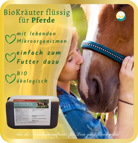 Bio Kräuter flüssig 5l- für Pferde